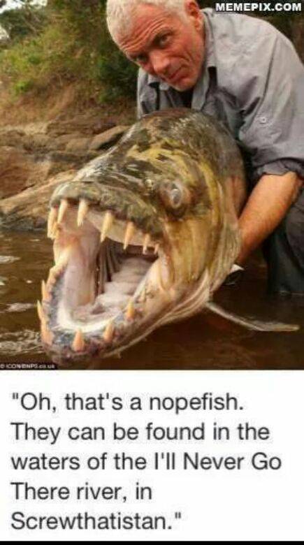 Nopefish