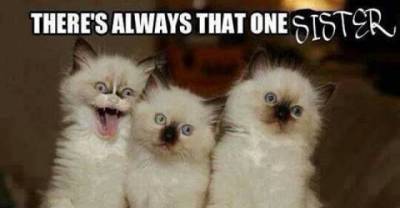 Funny Crazy Memes Of The Week