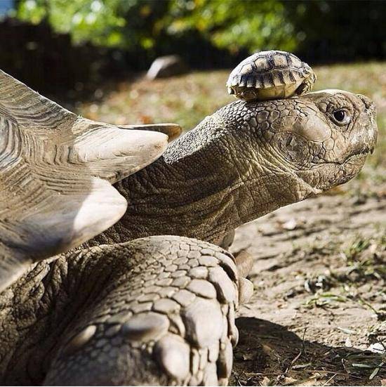 140 year old mom with her 5 day old son
