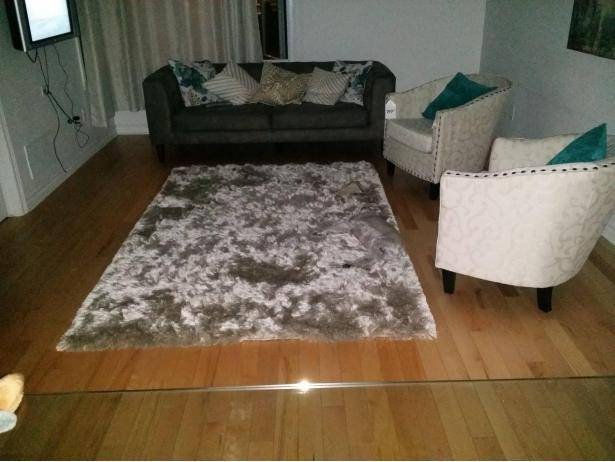 My wife and I were quite happy about our new rug purchase. Sadly, though, our dog ran away the same day.