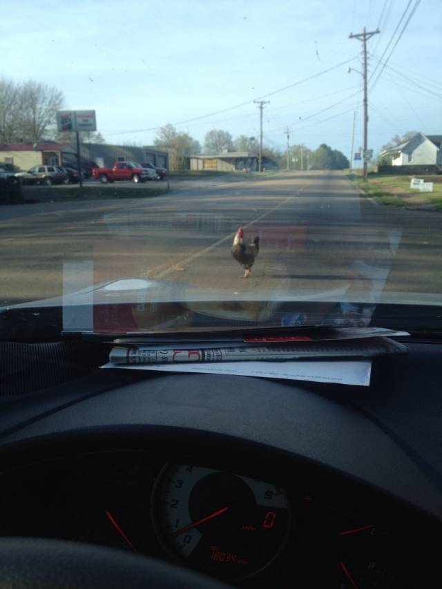 I got cockblocked on the way home today.