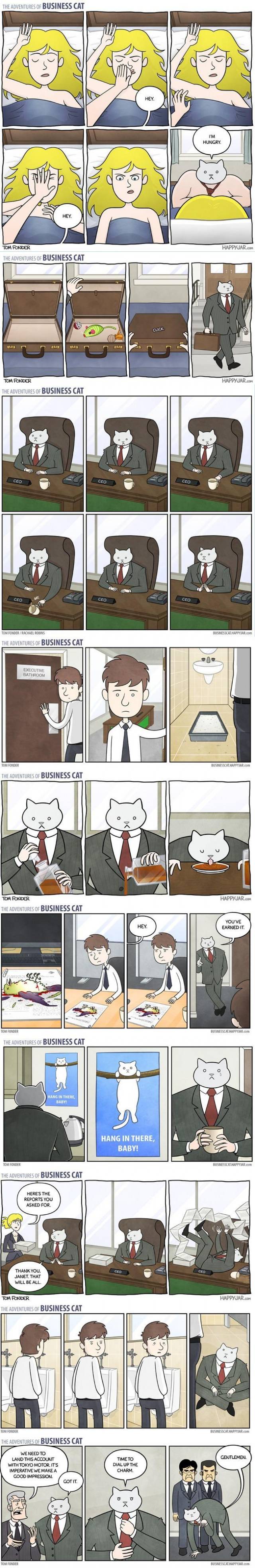 The adventures of business cat.