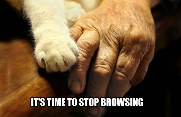 After reaching the 1000th link on the front page.