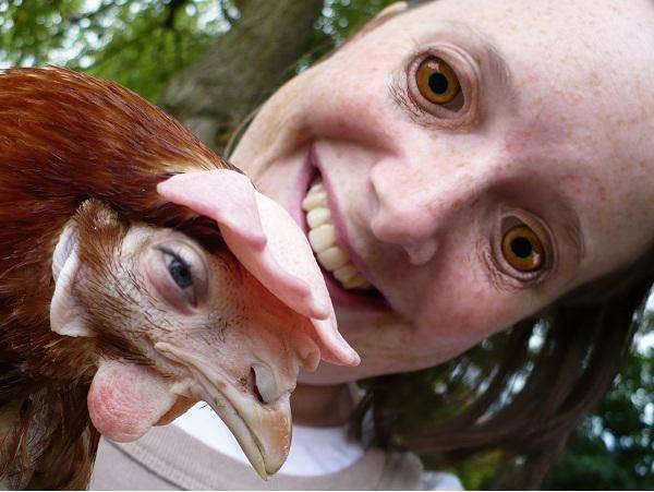 Girl and chicken face swap