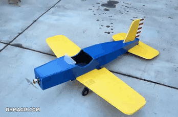 I’ll show them a flying squirrel.