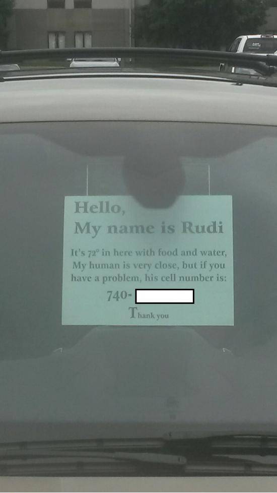 Seen in Ohio the weekend...dog locked in the car.