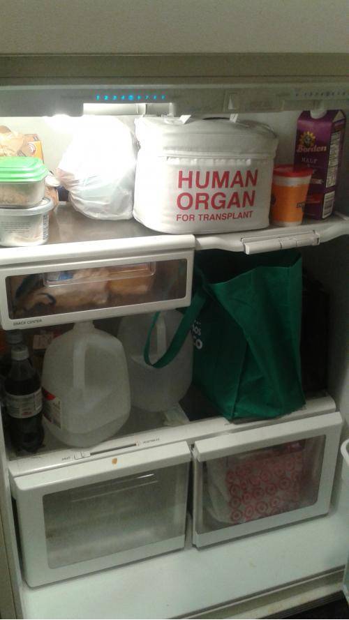 My new lunchbox looks great in the break room fridge!