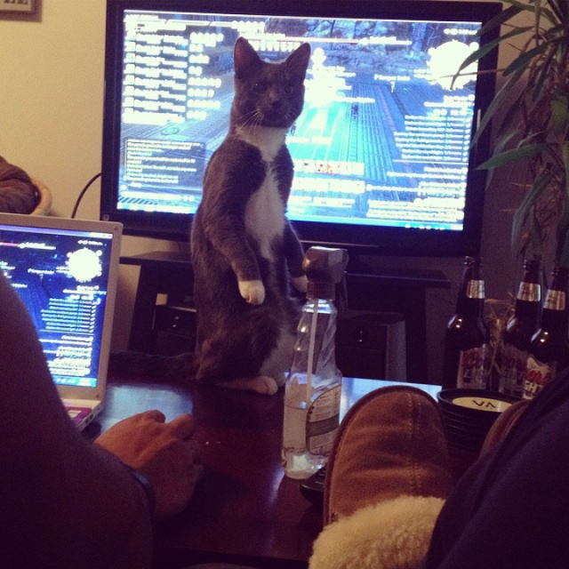 He just sat there... And stared.