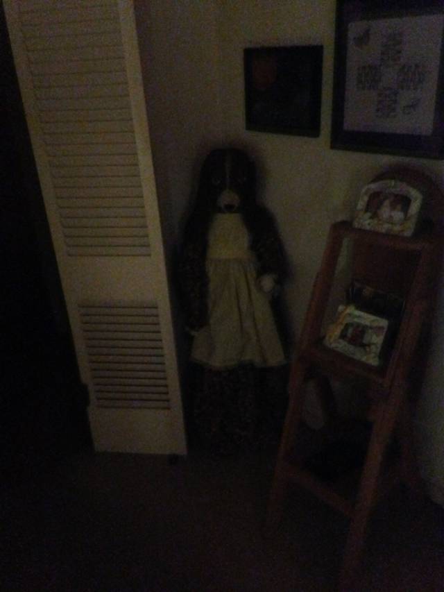 My mom has the creepiest vacuum cover.