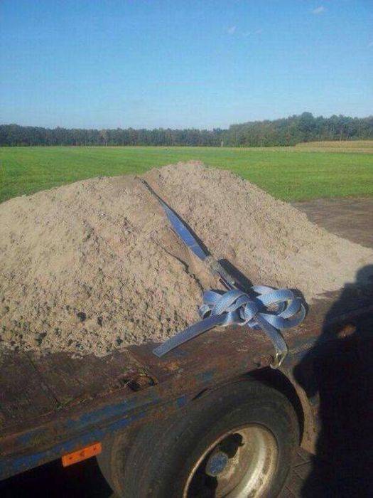 Looks safe to me, Bob!
