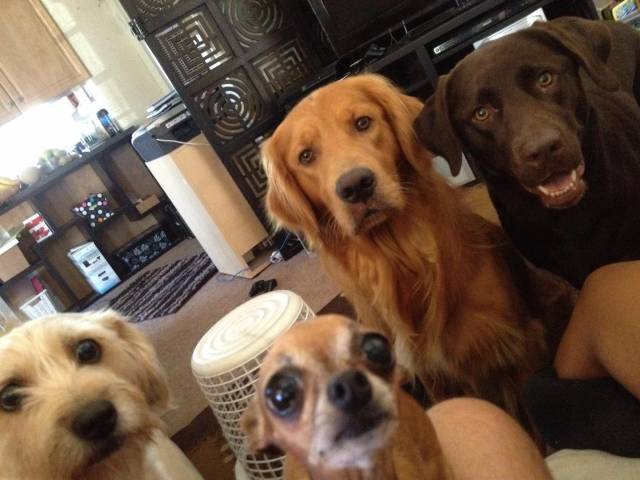 Are you going to eat that?