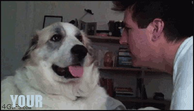 What did you say about my mom?