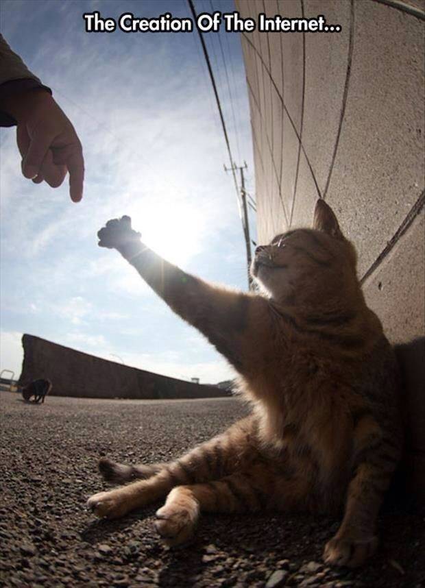 at the creation of the internet