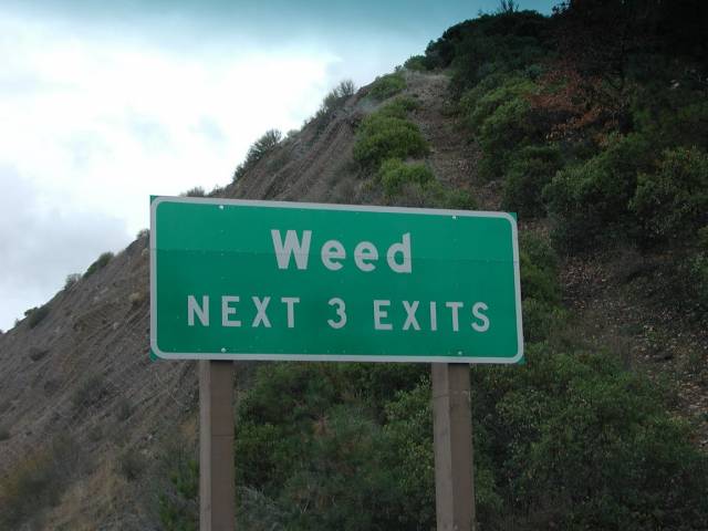 This legalization thing has gone farther than I thought.