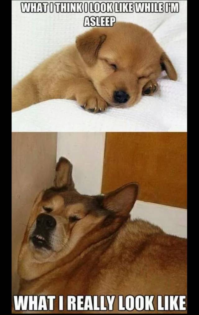 My SO took a picture of me while I was sleeping. I was reminded of this...