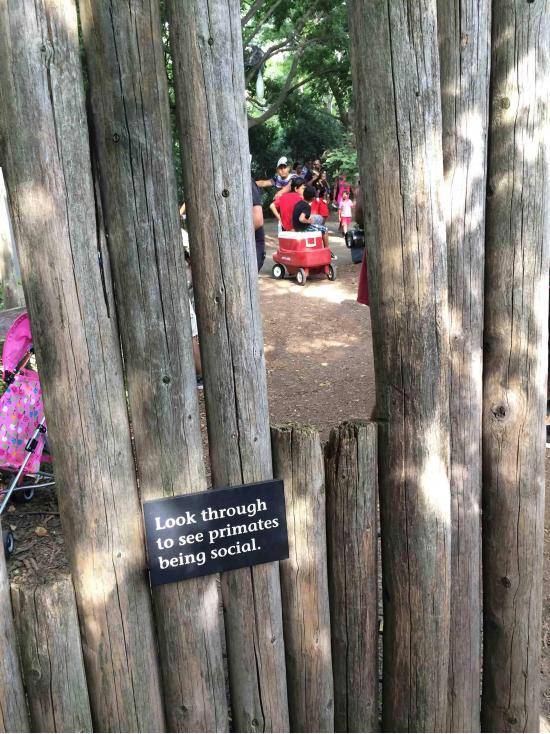 Passing this zoo sign, I start laughing but no one in my family seemed to get it at first.