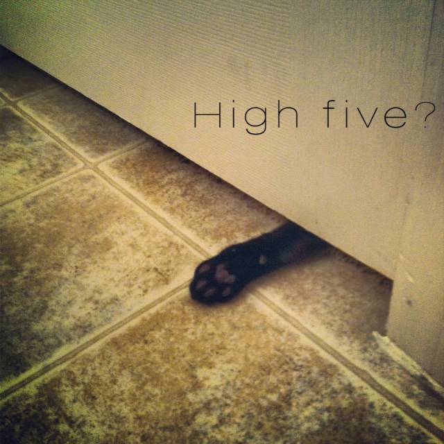 Since I cant watch you poop...