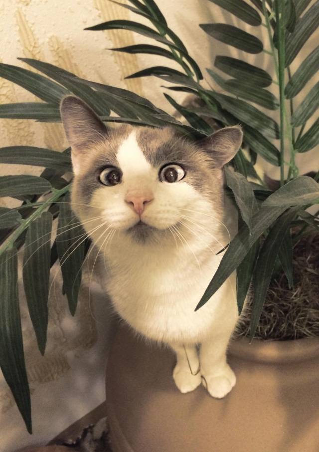 So, which one of you is going to feed me?