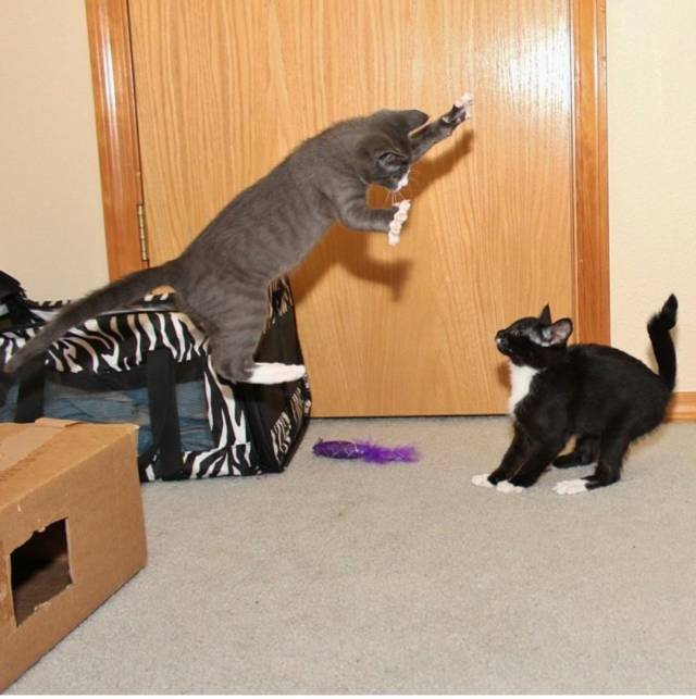 Took this picture at the perfect time