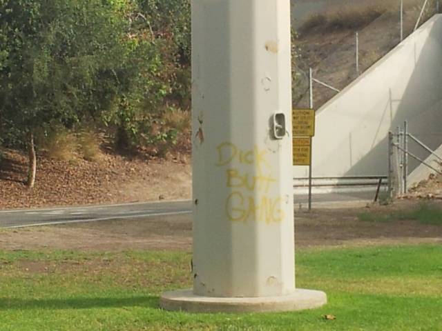 We seem to have stumbled into their territory...
