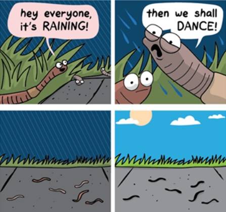 So that's what they're doing!