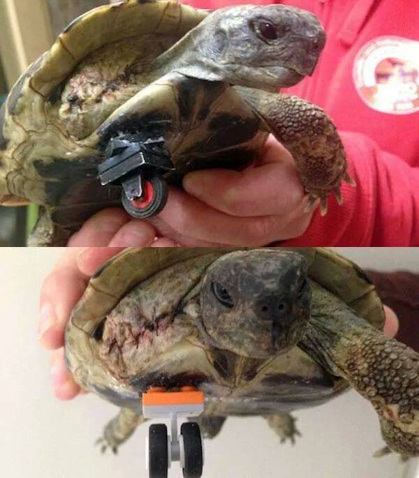 We can rebuild him. We have the technology.