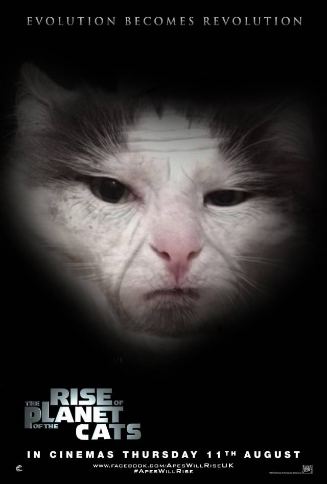 Rise of the Planet of the Cats