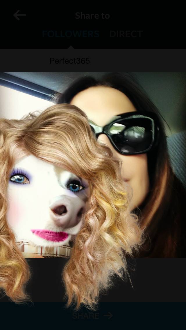 I see your aged cat and and raise you a glam dog, thanks to make-up app.