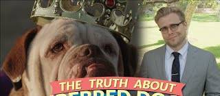 The Bizarre Truth About Purebred Dogs (and Why Mutts Are Better)