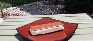 Walmart Ice Cream Sandwich’s Don’t Melt!