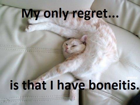 boneitis