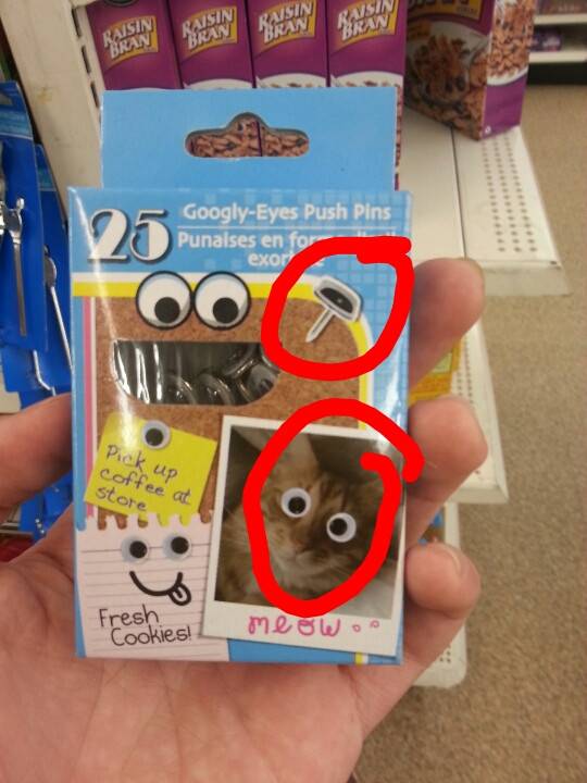 Found this at the local dollar tree...