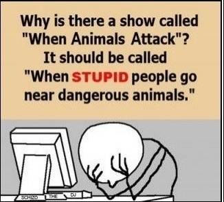 I wonder at this as well.