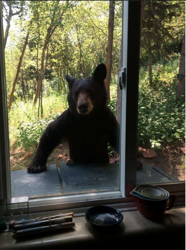 Hey, hi! Can I come over for dinner?