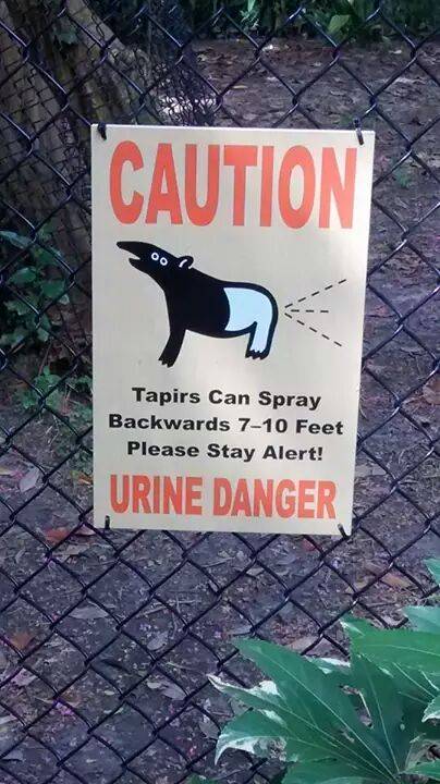You just can't make this stuff up.