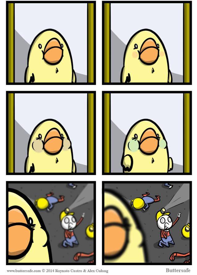 A bird holds its breath