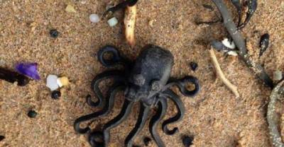 The Beach Where People Found Lego Instead of Seashells 