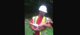 Baby deer cries every time it tries to be put down