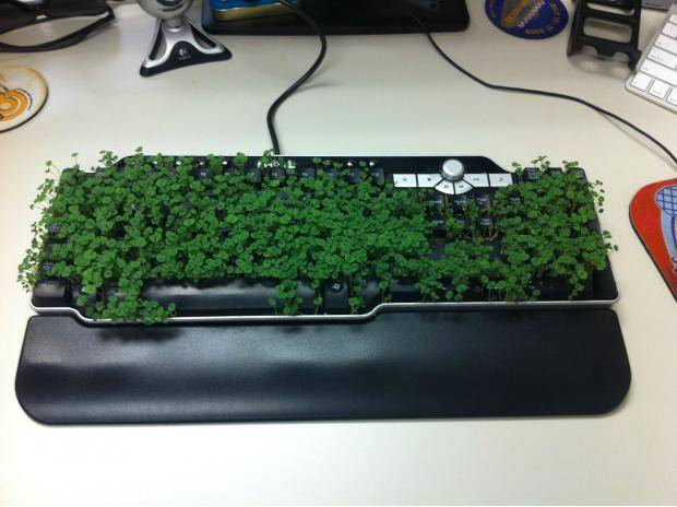 I was out of the office for 2 weeks and found this when I got back. Thank you, co-workers.