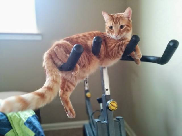 For some reason he loves this spot....