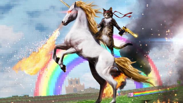 Flaming unicorn and badarse cat!