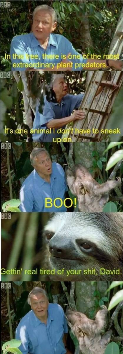 Classic David.