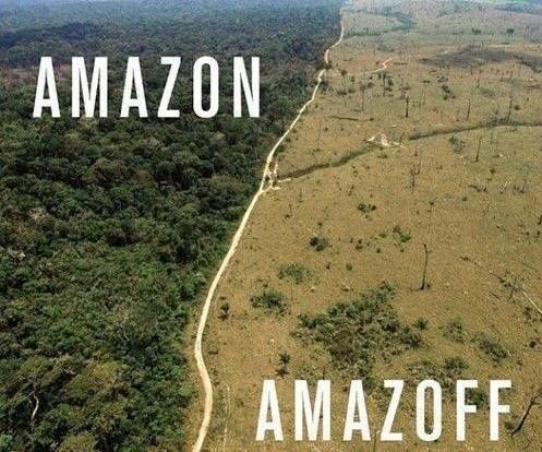 The Amazon