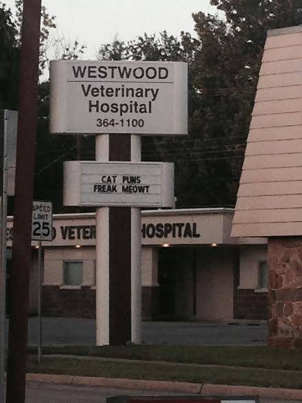 Something tells me our veterinarian might be an internet junkie..
