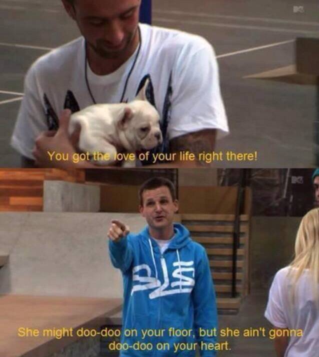 Man's best friend