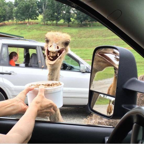 My mother-in-law met this enthusiastic fellow at a Virginia 