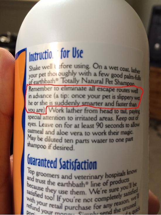 The instructions for my new dog shampoo