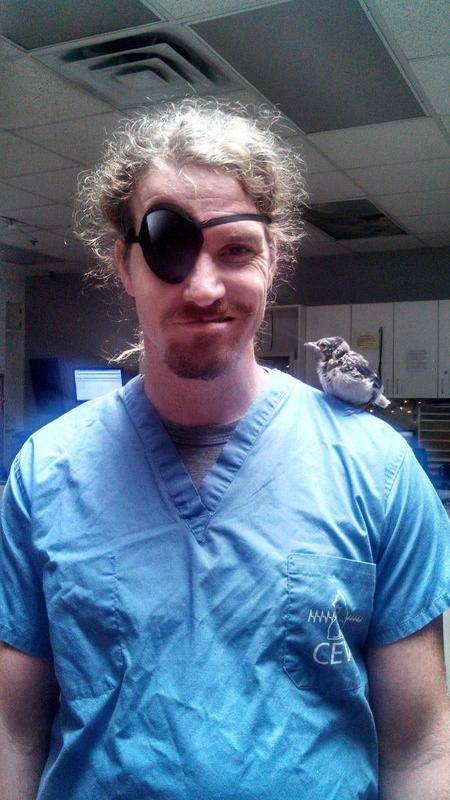 Cat scratched my eye, have a nestling bluebird to take care of... broke as= pirate