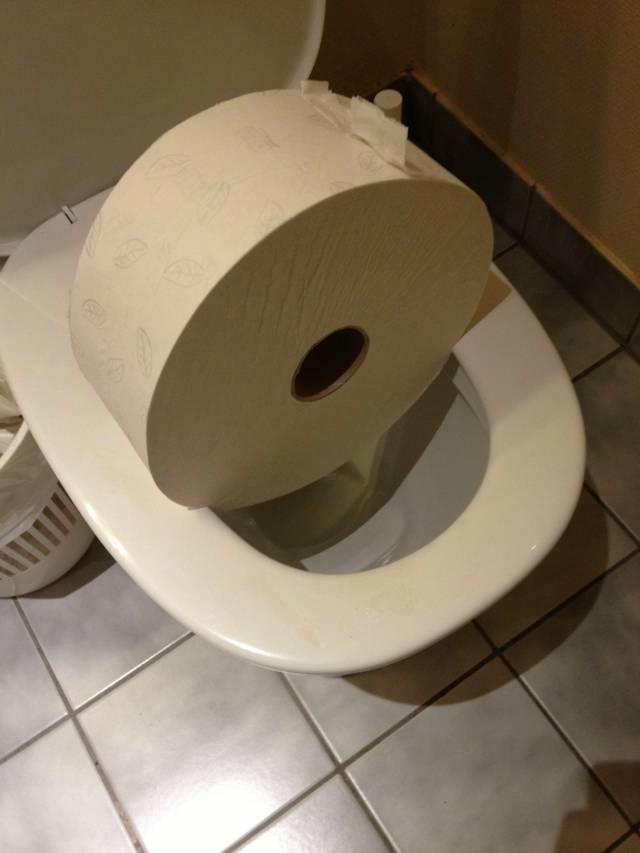 Almost dropped the toilet paper in the toilet.