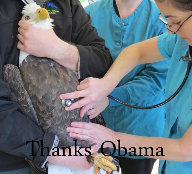 Obamacare strikes again!
